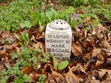 image of grave number 214293
